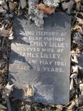 image of grave number 351969